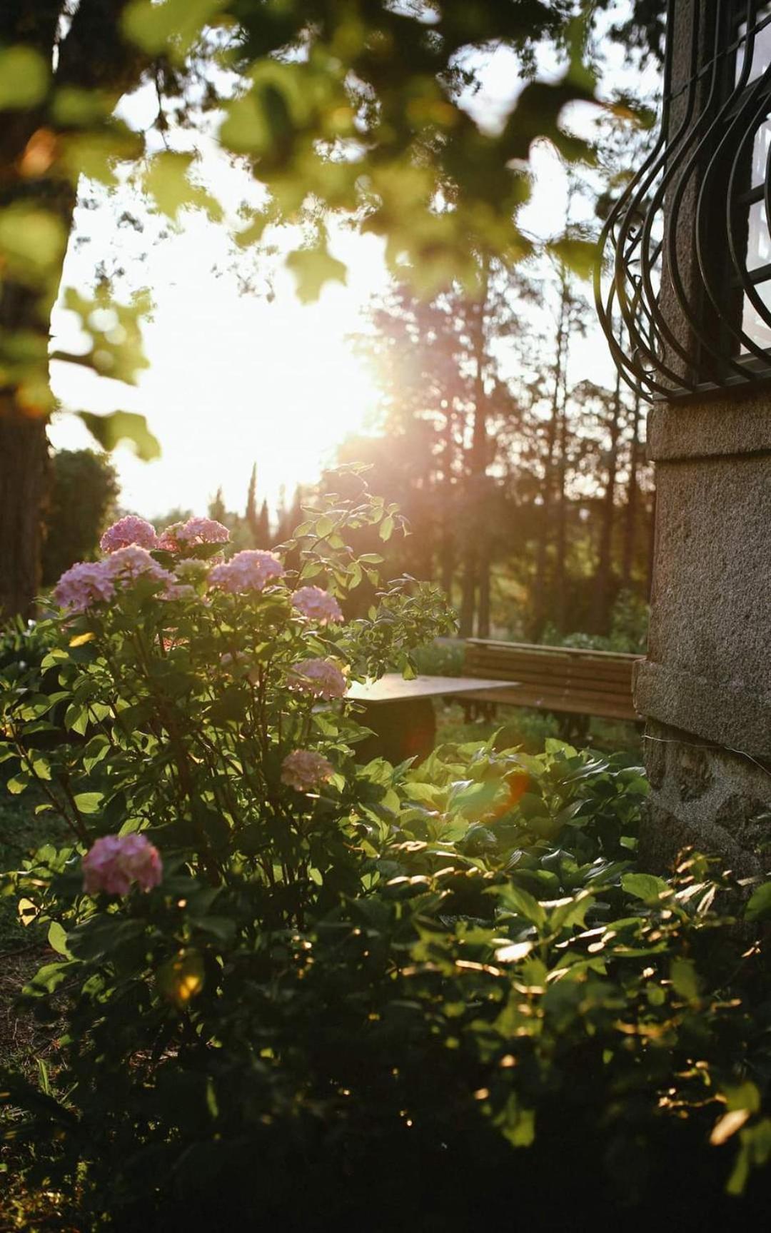 Lugar Da Pedra Alta - B&B - Private Historical Villa Melo Εξωτερικό φωτογραφία